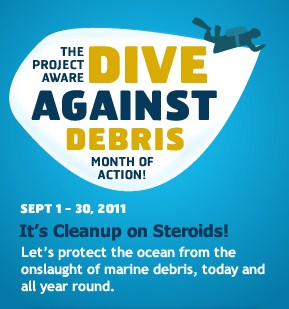 Dive Against Debris