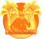 PADI IDC Internships on Facebook