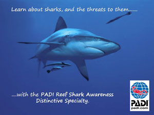 PADI Specialty Instructor Ratings