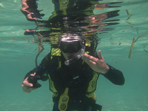 PADI Specialty Instructor Ratings