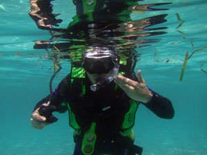 PADI Specialty Instructor Ratings