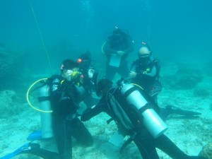 PADI IDC Open Water